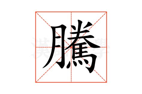 騰字|騰的解释